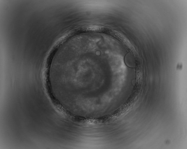 X0000102340736200808291137