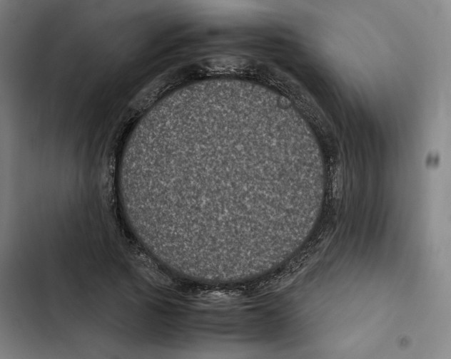 X0000102340737200808291137