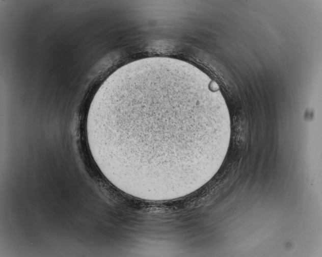 X0000102340738200808291137