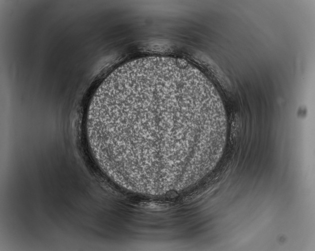 X0000102340739200808291137