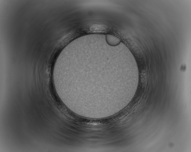 X0000102340741200808291137