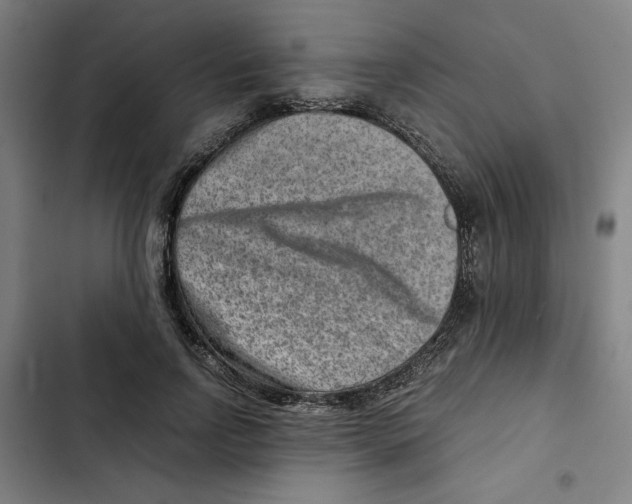 X0000102340742200808291137