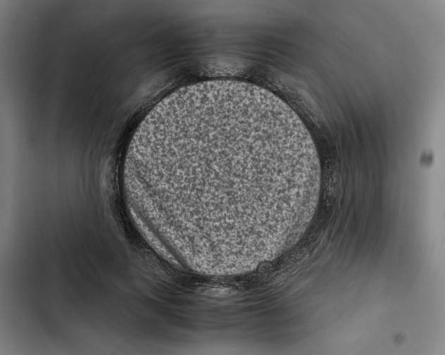 X0000102340743200808291137