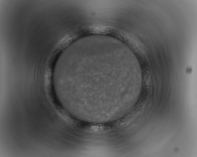 X0000102340744200808291137