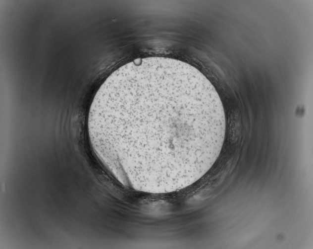X0000102340747200808291137