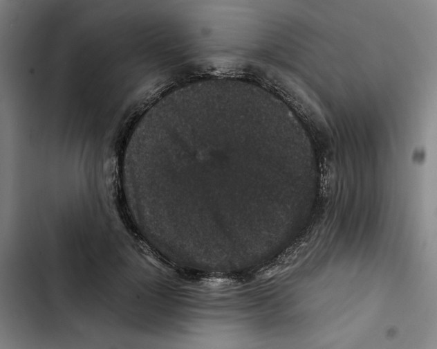 X0000102340748200808291137