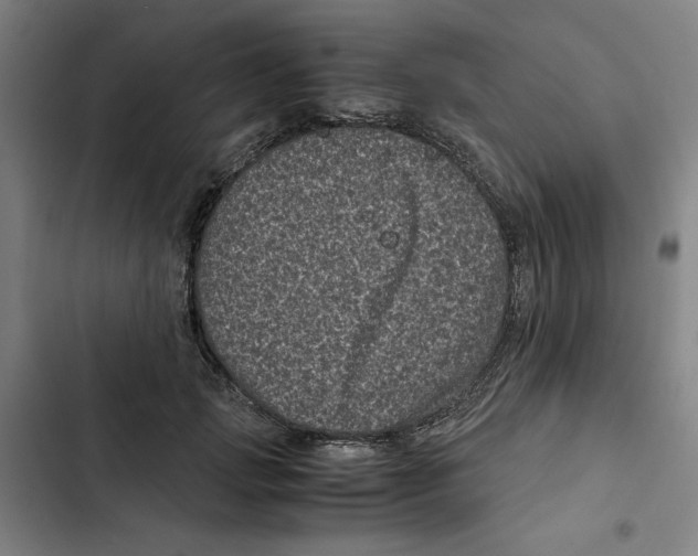 X0000102340749200808291137