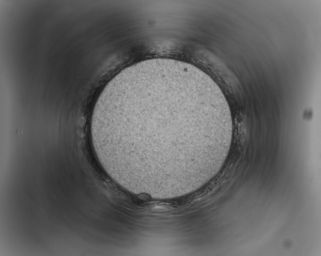 X0000102340750200808291137