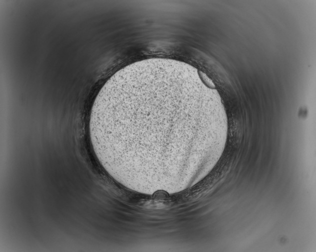 X0000102340751200808291137