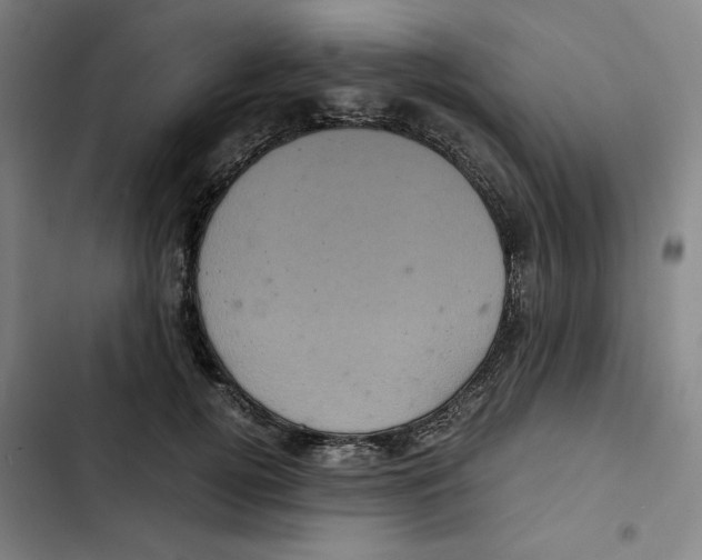X0000102340752200808291137