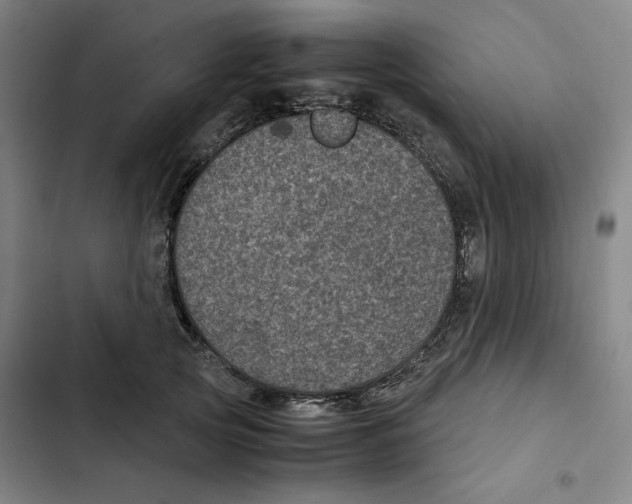 X0000102340753200808291137