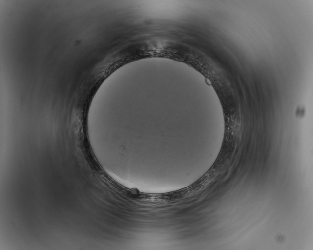 X0000102340754200808291137