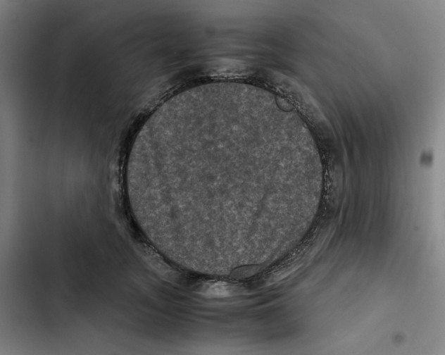 X0000102340755200808291137