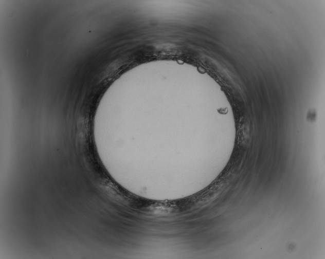 X0000102340756200808291137