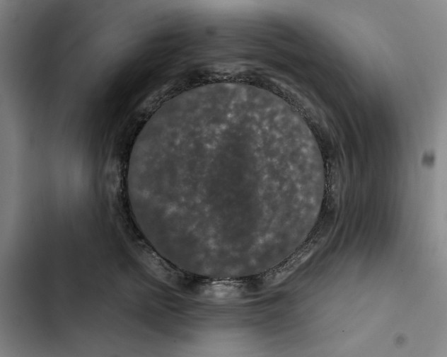 X0000102340758200808291137