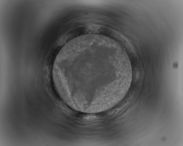 X0000102340759200808291137