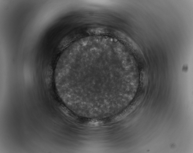 X0000102340760200808291137