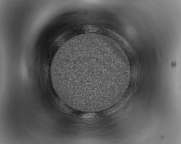 X0000102340761200808291137