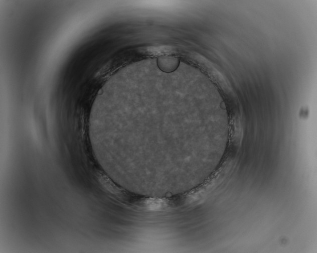 X0000102340762200808291137