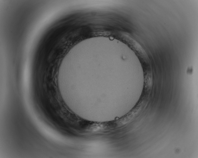 X0000102340764200808291137