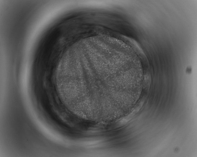X0000102340765200808291137