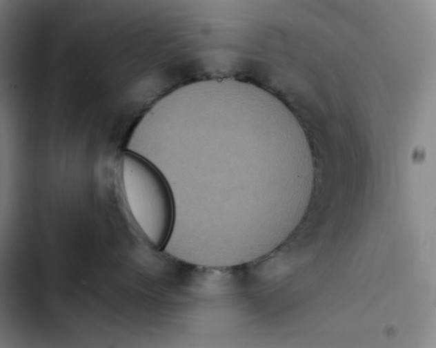 X0000102340768200808291137