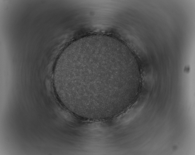 X0000102340769200808291137