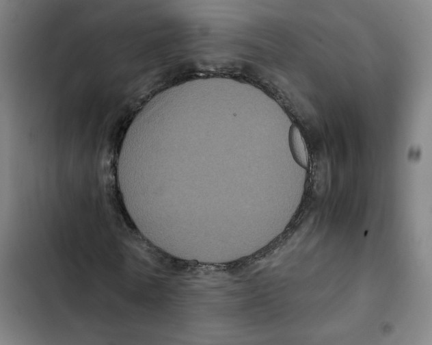 X0000102340770200808291137