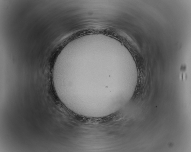 X0000102340773200808291136