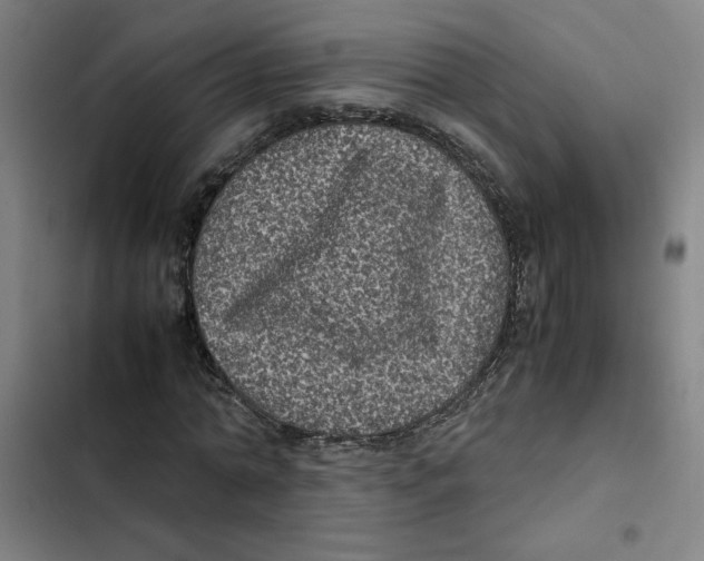 X0000102340774200808291136