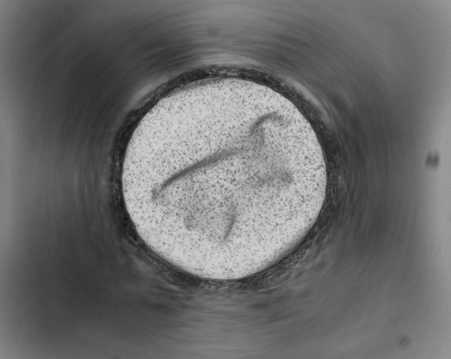 X0000102340775200808291136