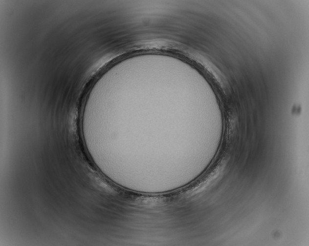 X0000102340778200808291136