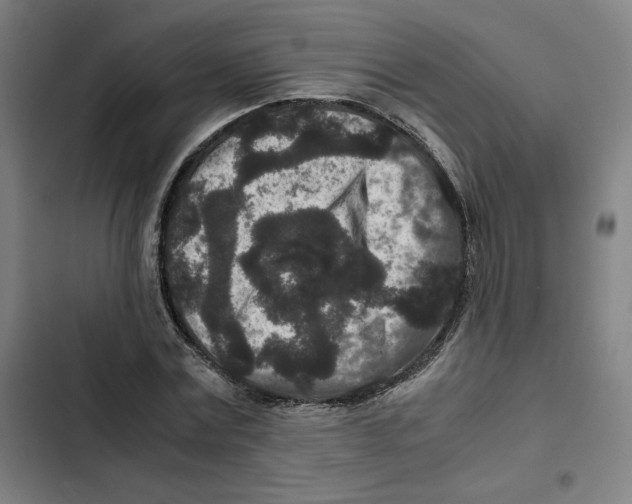 X0000102340779200808291136