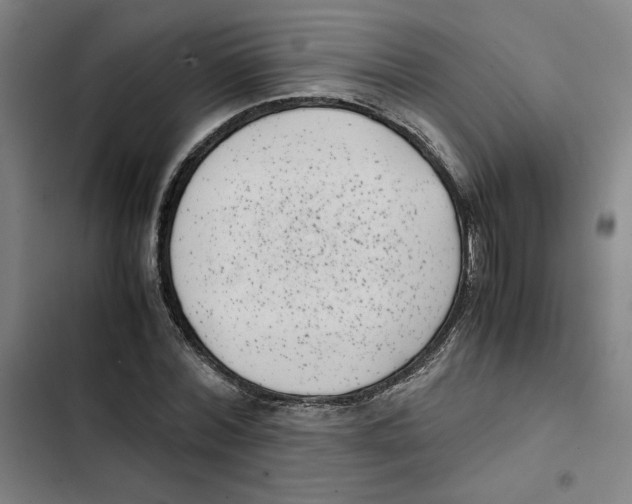 X0000102340780200808291136