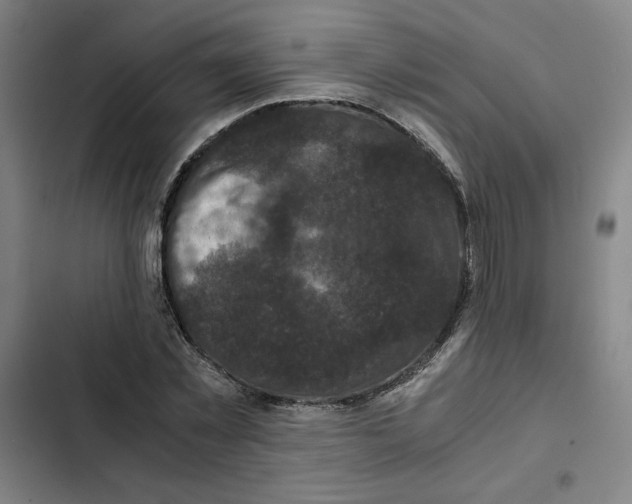 X0000102340781200808291136