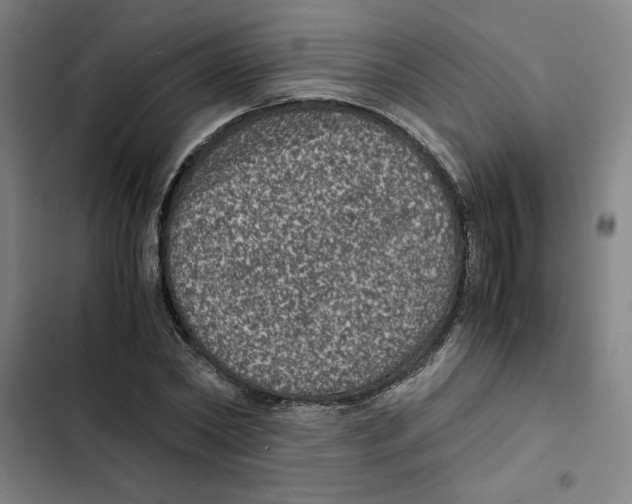 X0000102340782200808291136