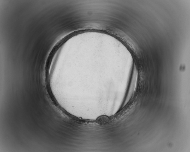 X0000102340784200808291136
