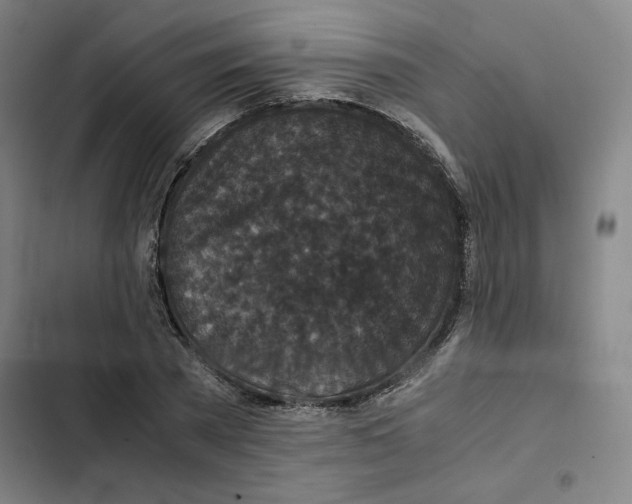 X0000102340785200808291136