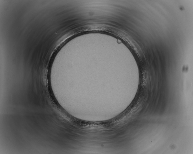 X0000102340786200808291136
