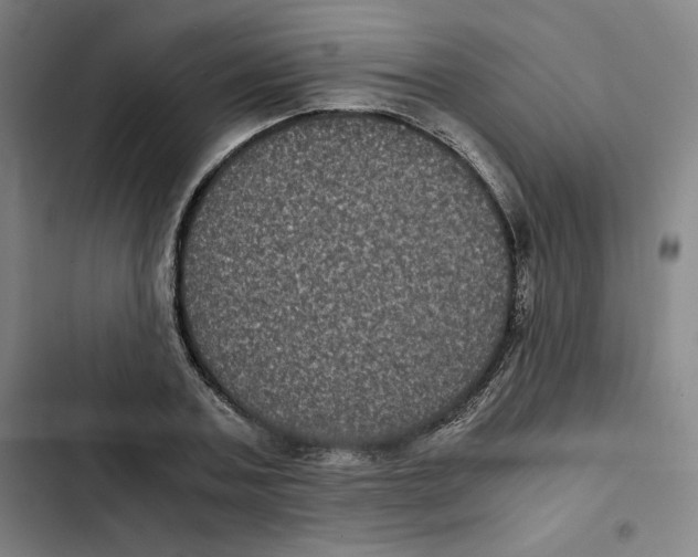 X0000102340787200808291136