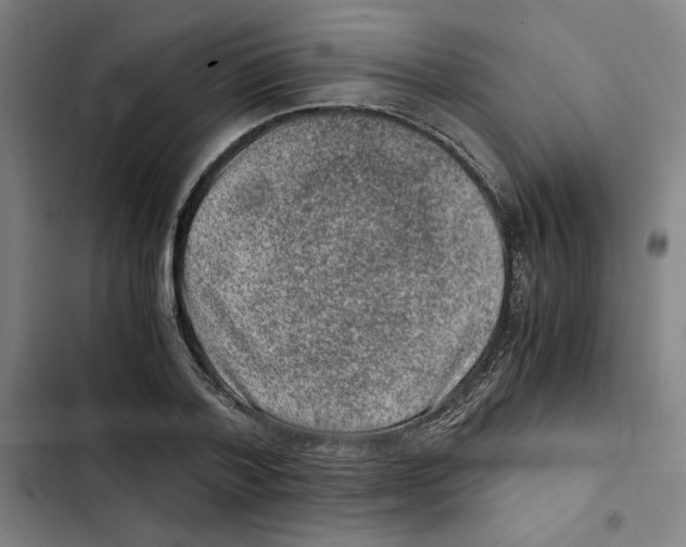 X0000102340788200808291136