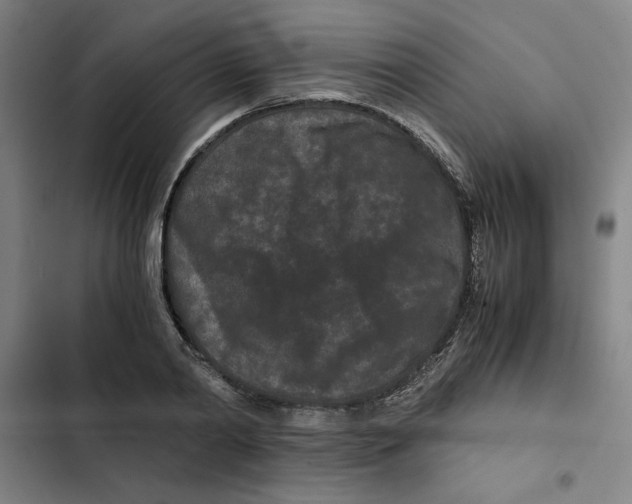 X0000102340790200808291136
