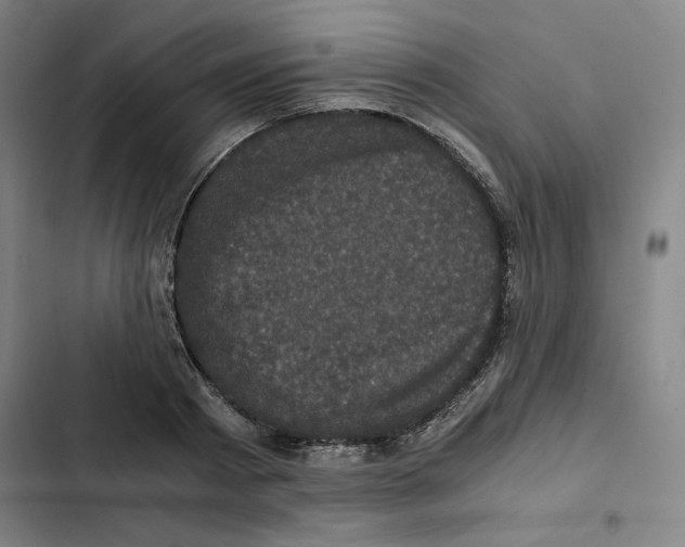 X0000102340793200808291136