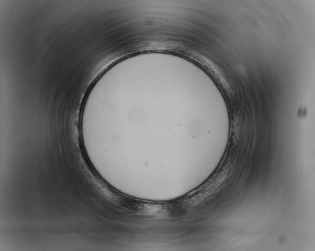 X0000102340794200808291136