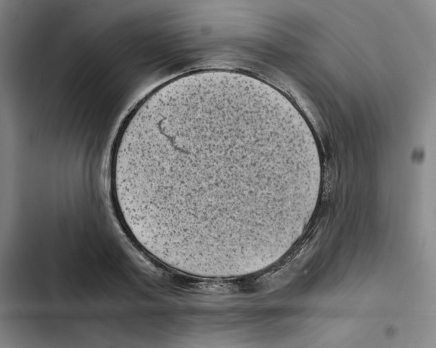 X0000102340795200808291136