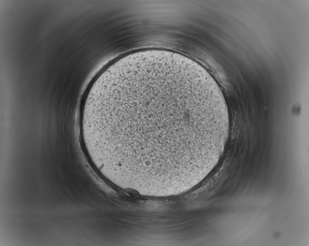 X0000102340796200808291136