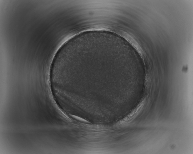 X0000102340797200808291136