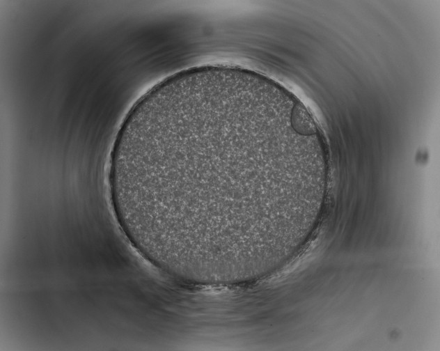 X0000102340799200808291136