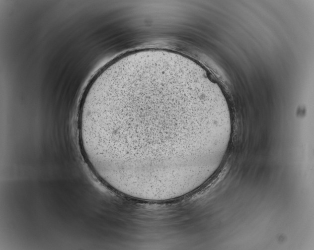 X0000102340800200808291136