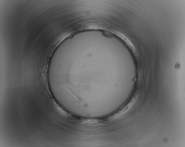 X0000102340801200808291136